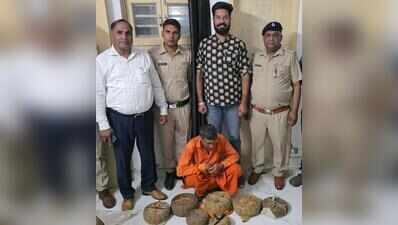 8 snakes rescued from Faridabad house, 1 arrested under Wildlife Act