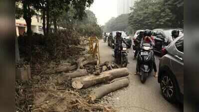 Explain what steps taken to enact tree preservation law: NGT to Haryana govt