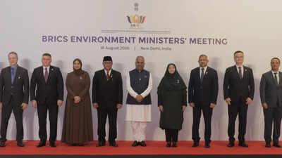 BRICS nations oppose EU carbon border tax at the group's environment ministers’ meeting