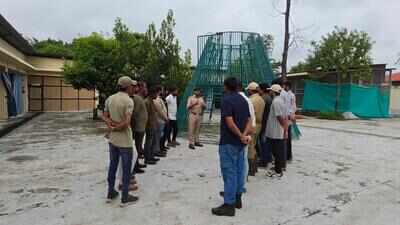 25 special trackers deployed along Girnar pilgrimage routes to avert human-animal conflict