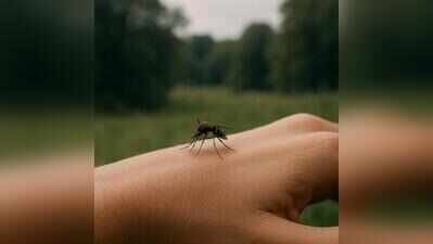 Dengue, chikungunya cases rise in city amid rains