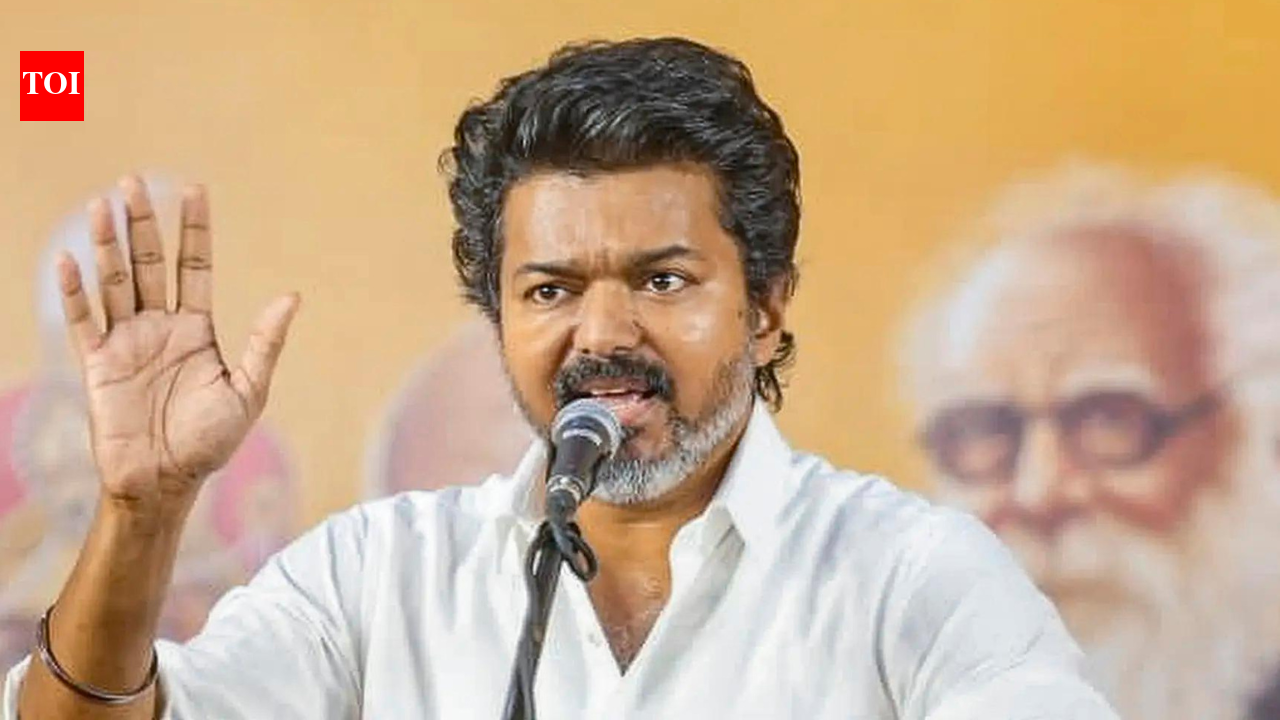 Vijay rolls out slew of perks for TN MLAs: Car, monthly allowances, increased health cover