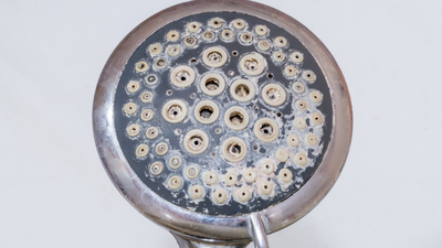 Forget vinegar and baking soda! A simple and practical trick to clean blocked showerheads in the bathroom