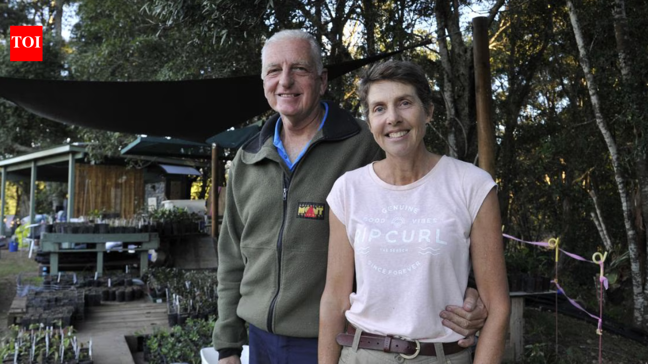 Australian couple bought a cattle farm and planted 34,000 trees to restore rainforest