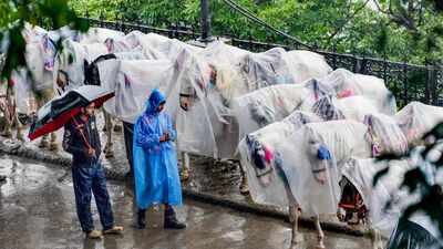 Weather tomorrow: IMD forecasts rain over 20 states; very heavy showers in UP, MP, Uttarakhand