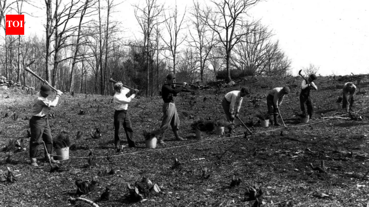 In 1943, Franklin Delano Roosevelt gave Springwood and 33 acres to US; estate had 1,500 acres and 500,000 trees