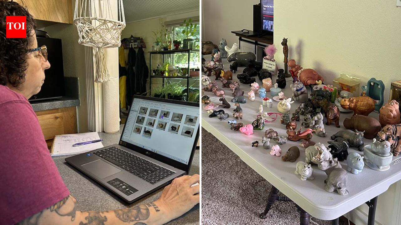 At 14, Sheri Lynch got a grey hippo; 40 years later, she had 1,086 items