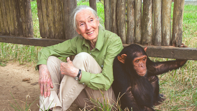 Quote of the day by Jane Goodall: "Every individual matters. Every individual has a role to play. Every individual..."