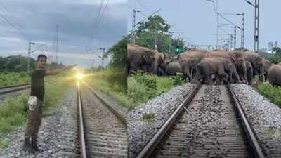 Rajdhani waits for 90 gentle giants, alert forest teams help them cross tracks in Assam’s Hojai