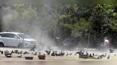 Ahmedabad’s clean-air gains hit speed bump as PM10 levels rise again