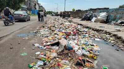 Statewide sanitation strike hits Panchkula hard