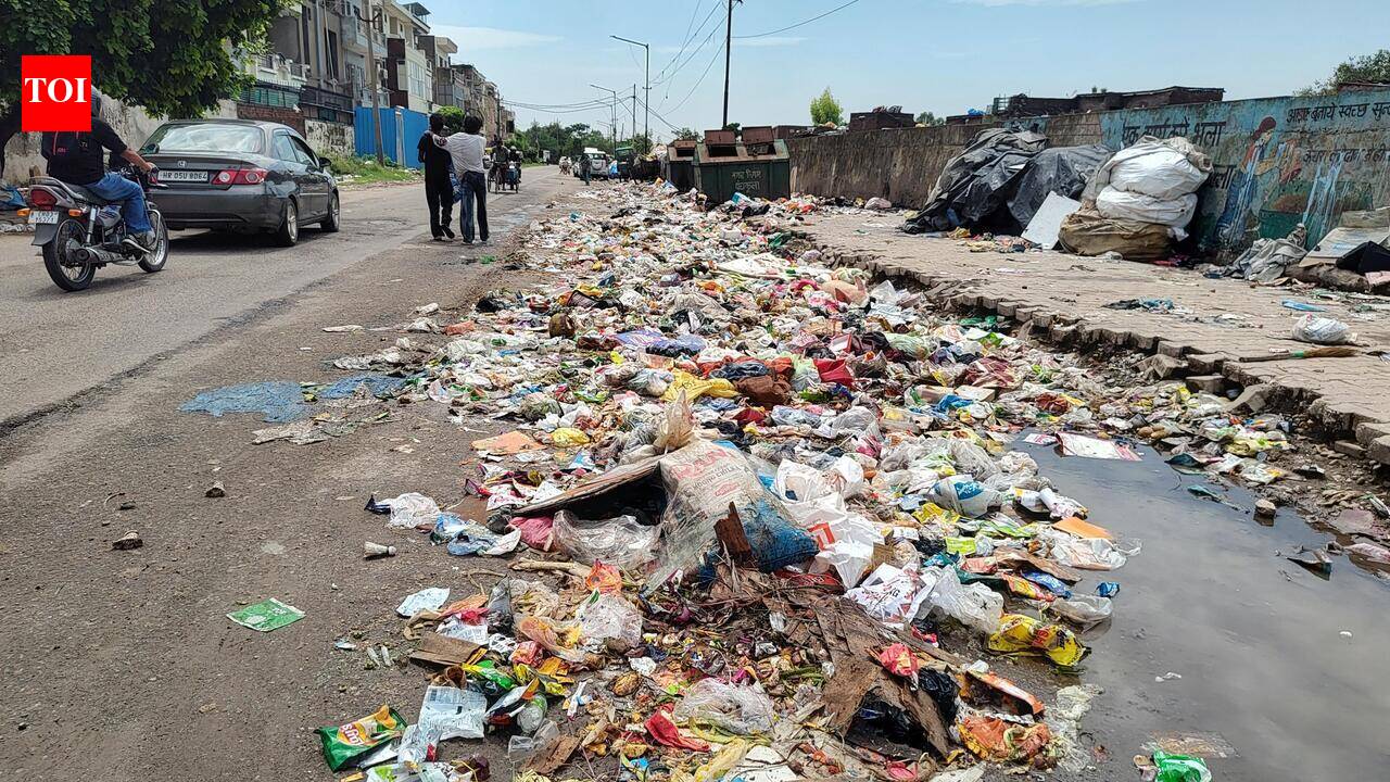 Statewide sanitation strike hits Panchkula hard