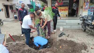 TREE FALLS, NMC PLANTS SAPLING AT SAME SPOT