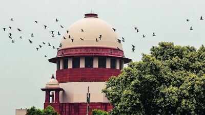 Paternity test of child can be allowed in marital dispute: SC