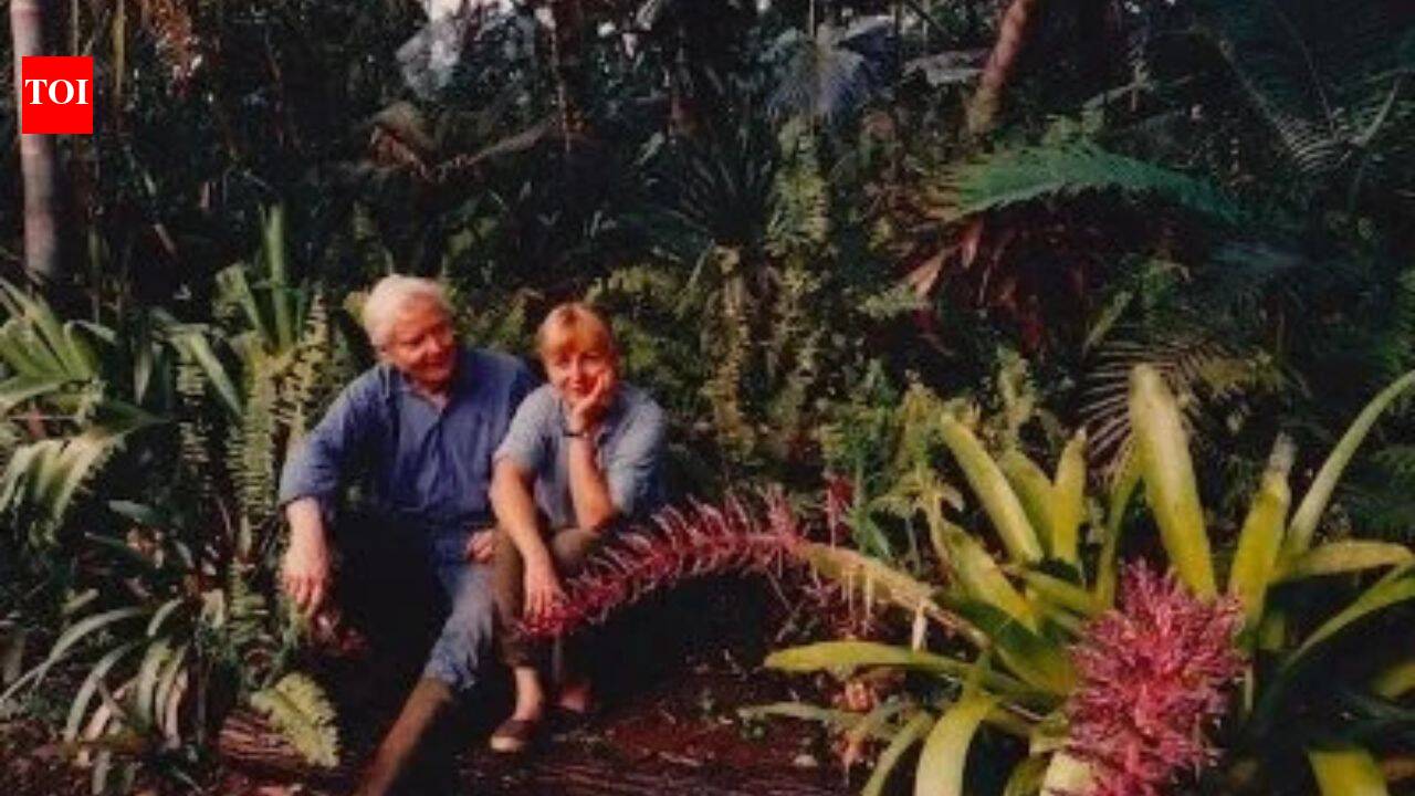 Pulitzer Prize-winning poet bought a barren land in Hawaii and turned it into a 19-acre forest with more than 3,000 palms