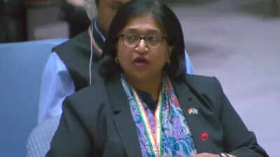 ‘Membership must not be used to legitimise terrorists’: India seeks transparency in UNSC