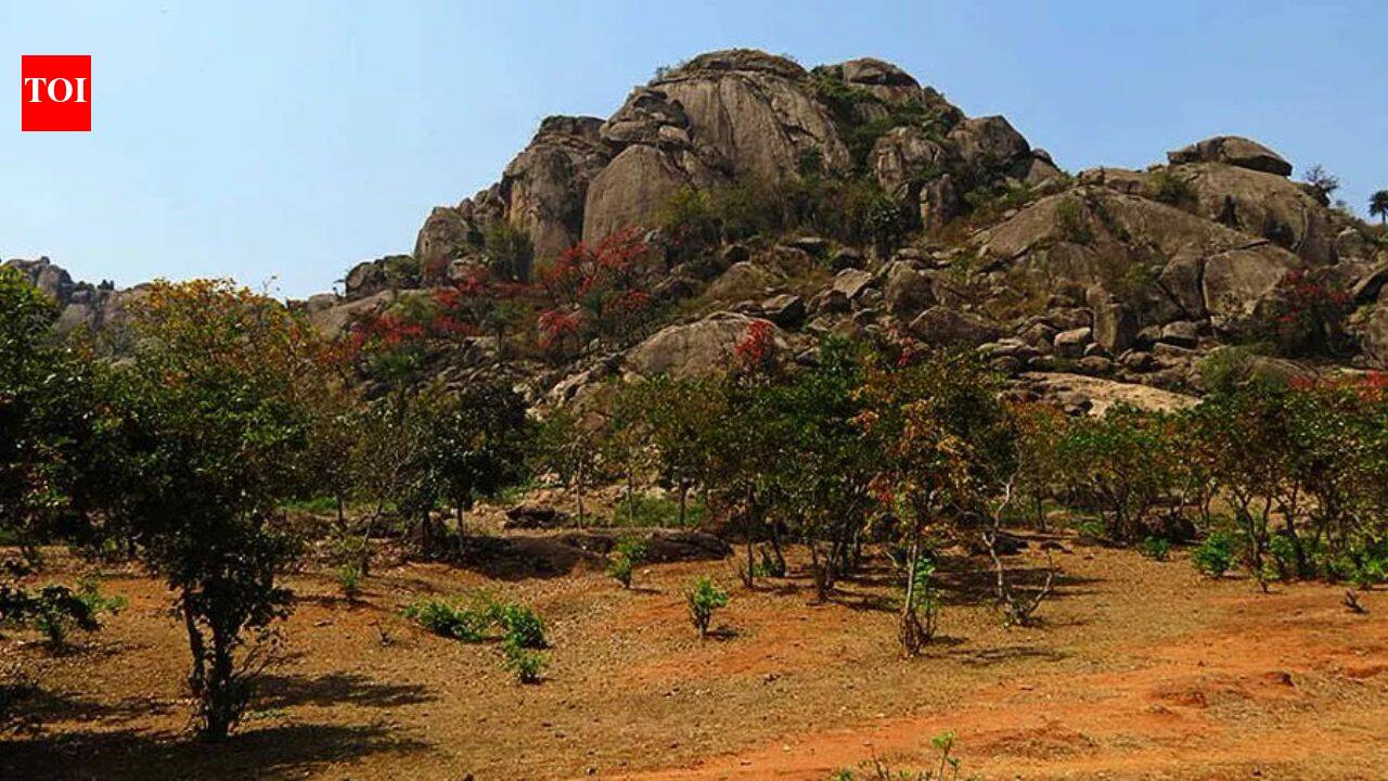 Oldest evidence of life on Earth has been discovered in India in a 3.4 billion-year-old layered rock shows signs of microbial life