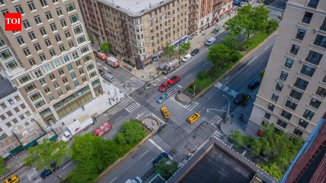 Manhattan’s traffic-packed Broadway is slowly becoming a 5-mile wildlife corridor