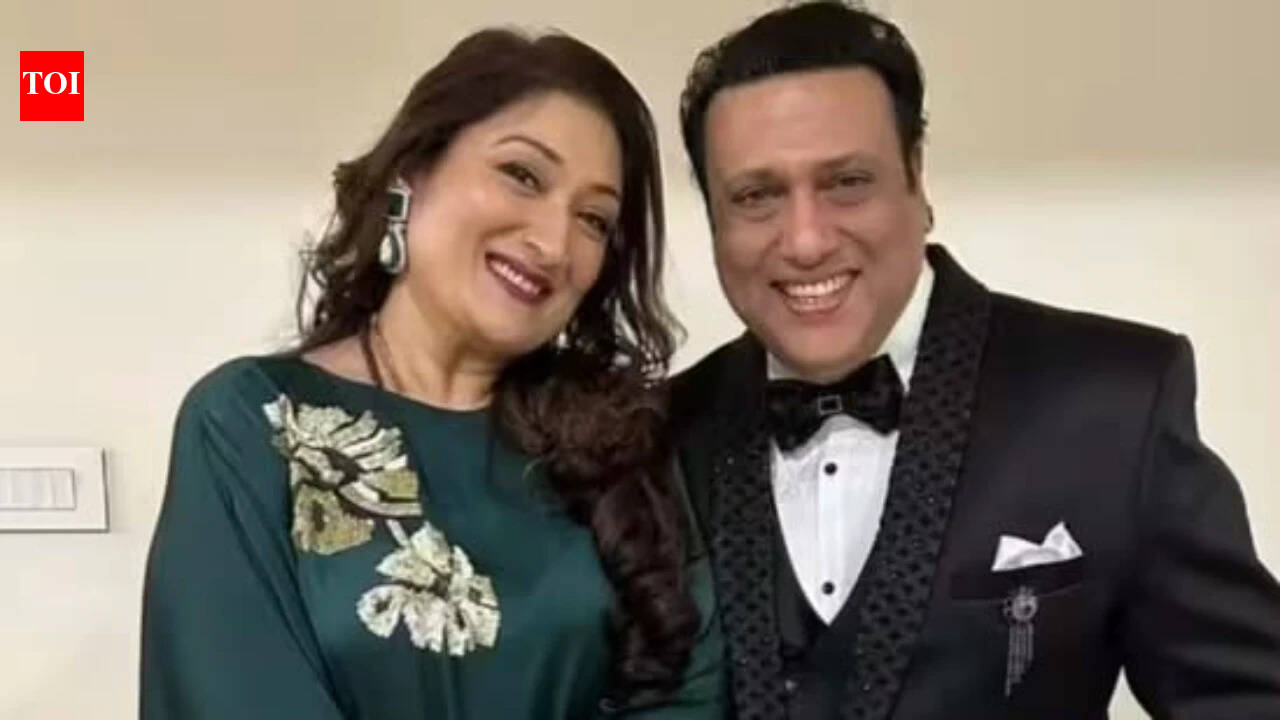 When and why did Sunita Ahuja seek divorce from Govinda? Timeline of petition EXPLAINED