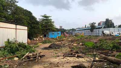 102 trees face axe as Dombivli sports complex gets world-class makeover