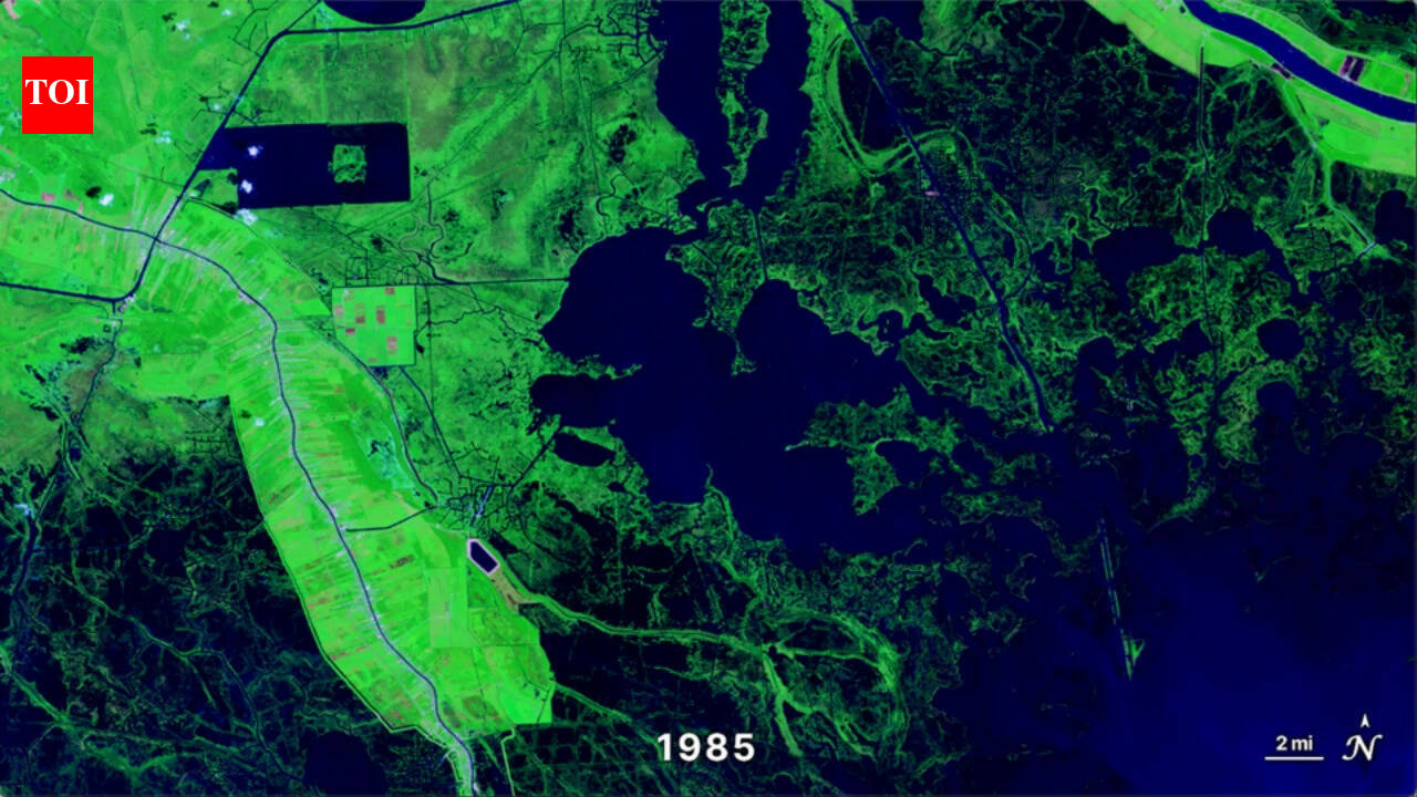 NASA compared Louisiana’s coast in 1985 and 2024; wetlands south of New Orleans had turned into open water