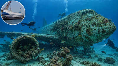 In 2019, Bahrain sank a 70-metre Boeing 747 in 20–22 metres of water; the jumbo jet became the centrepiece of a 100,000-square-metre underwater park