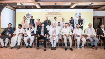 Amit Shah hails South's development in CMs meet, cites 3 pillars of progress