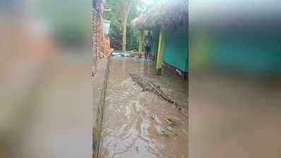 Kendrapada man finds 20-ft croc on verandah, villagers drive it away