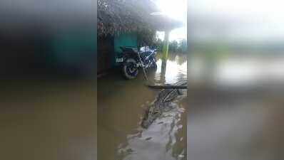 Kendrapada man finds 20-ft croc on verandah, villagers drive it away