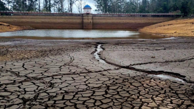 Coonoor faces acute water shortage as Ralliah dam dries up