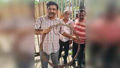 Battle of emblems: JU logo, designed by Nandalal, damaged in campus clash