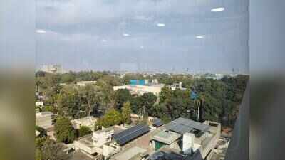 NGT panel: Green zones need protection, healing