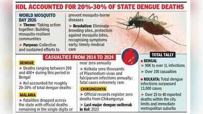 Mosquito-Borne Diseases Infected Over 1 L In State From ’14 To ’24: Docs