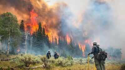 In 2023, Canadian wildfires cut solar power generation by 6.38 TWh across North America and Europe, causing an estimated $1.9 billion loss