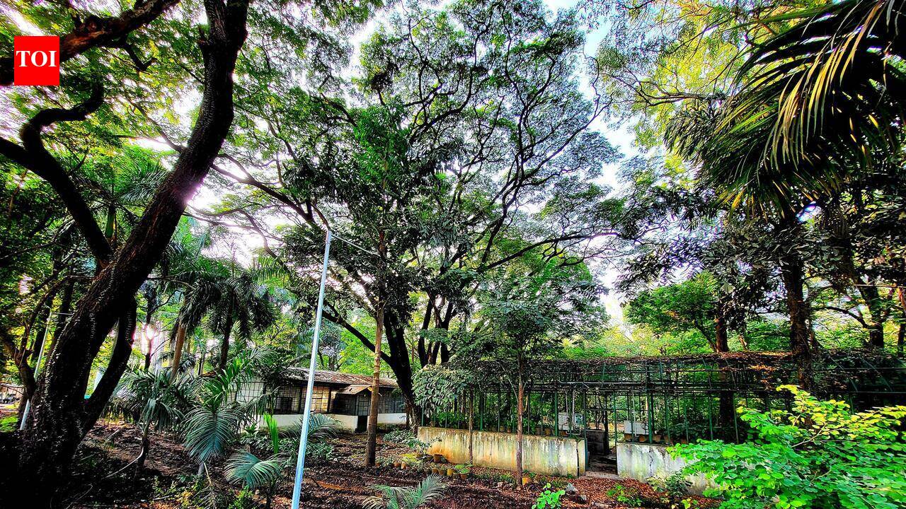 Court rejects sub-registrar Taru’s second bail plea in Mundhwa land deal case