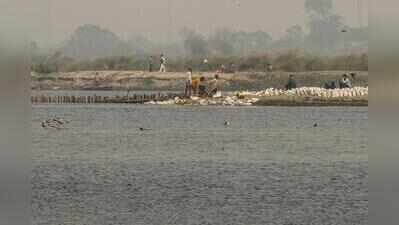 Yamuna sand mining row: NGT seeks replies from Baghpat, GB Nagar and Outer North Delhi district magistrates