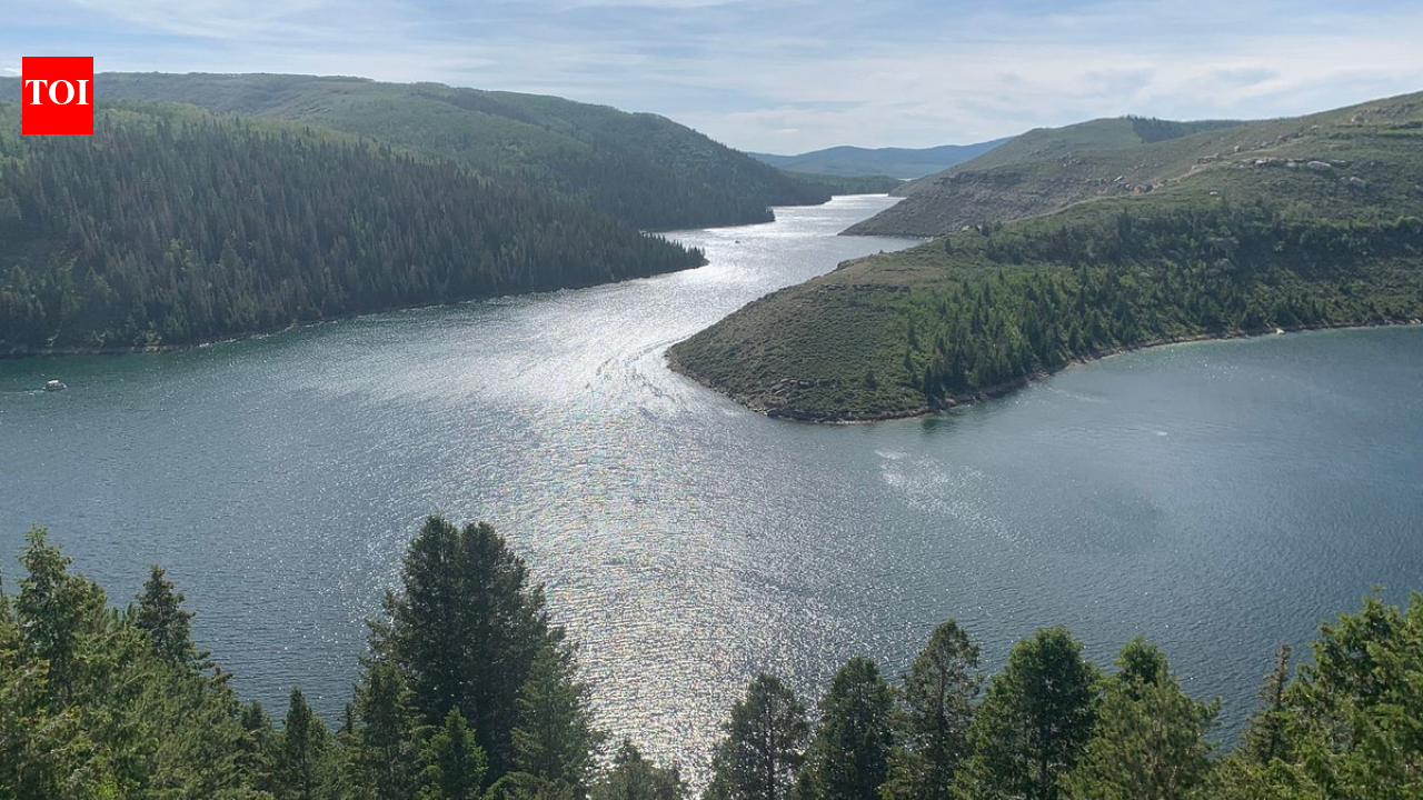 In 1990, Utah used the world’s largest rotenone treatment on Strawberry Reservoir