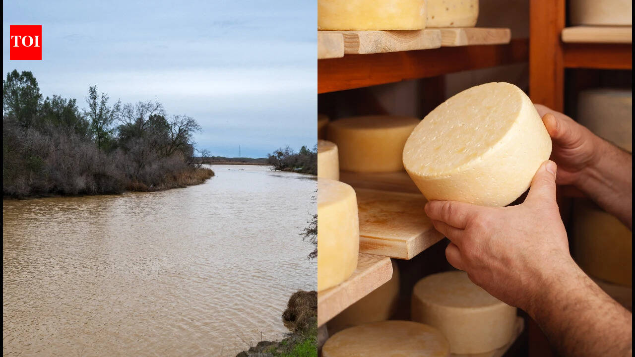 44 years later, a dairy rancher's gift restores California's river habitat