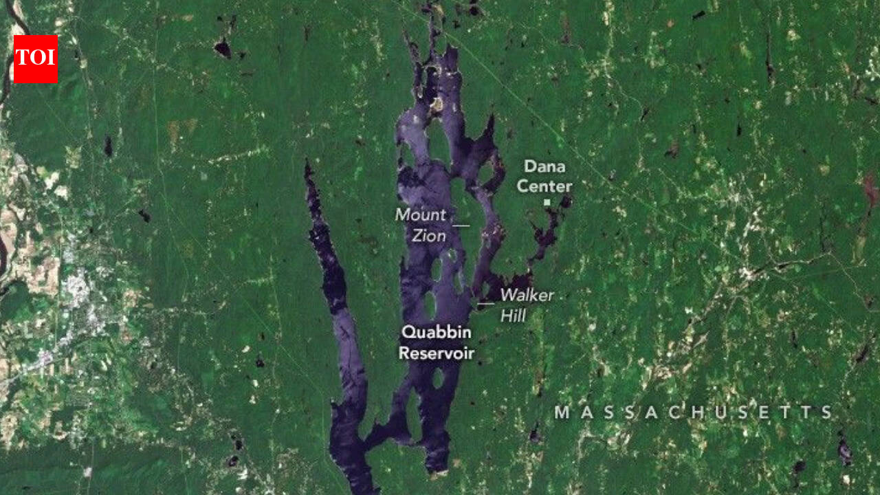 In 1930, workers began Winsor Dam and Goodnough Dike to secure Boston's water; 95 years later, Quabbin shelters 41 reintroduced bald eagles