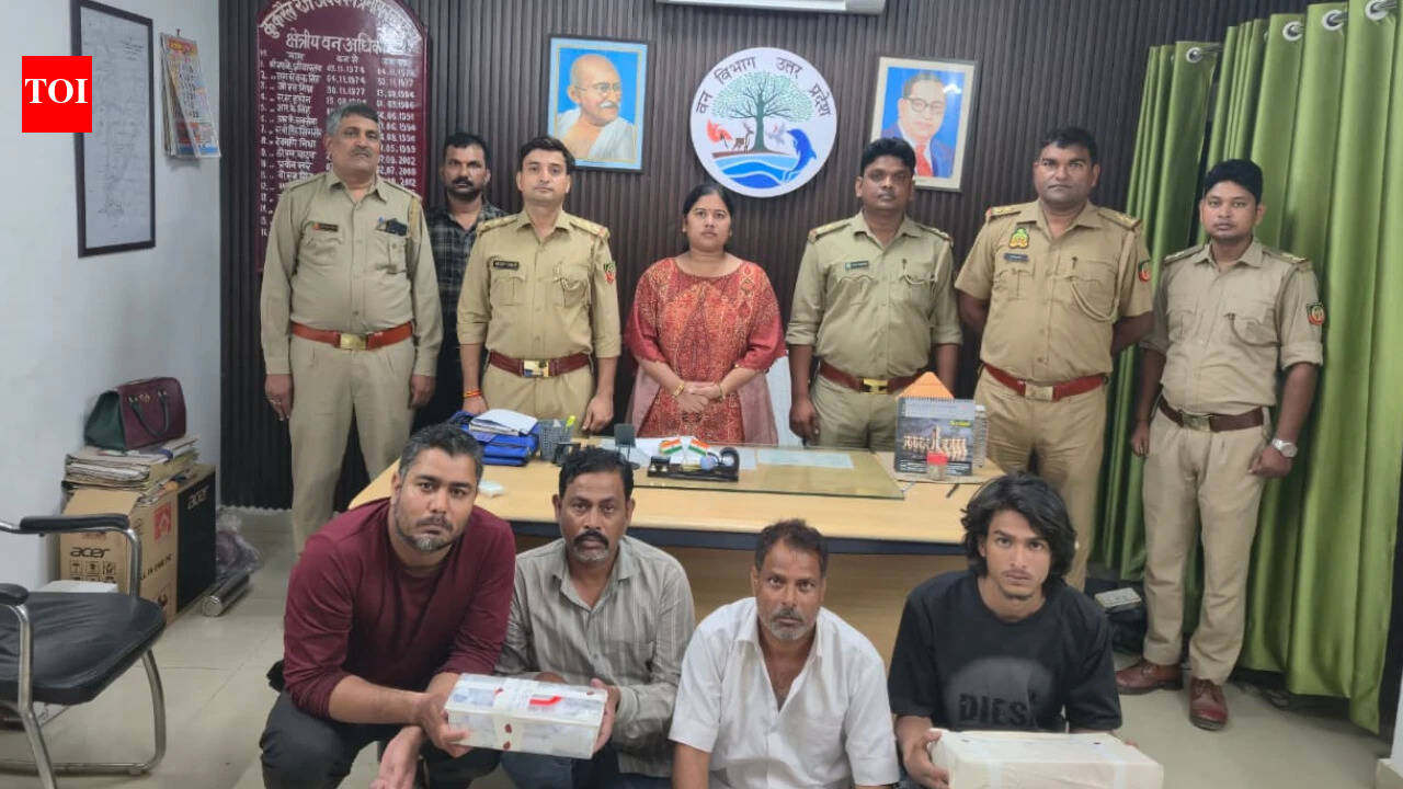 54 ivory artefacts worth crores seized in Lucknow; 4 arrested in joint DRI-Forest operation