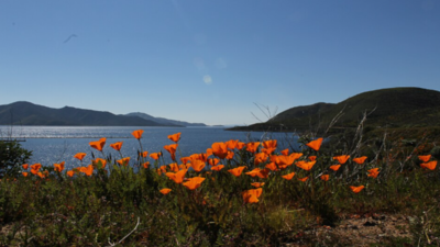 In 1995, Metropolitan Water District built Diamond Valley Lake to store water; 6 years later Southern California’s new reservoir held nearly 1 trillion liters