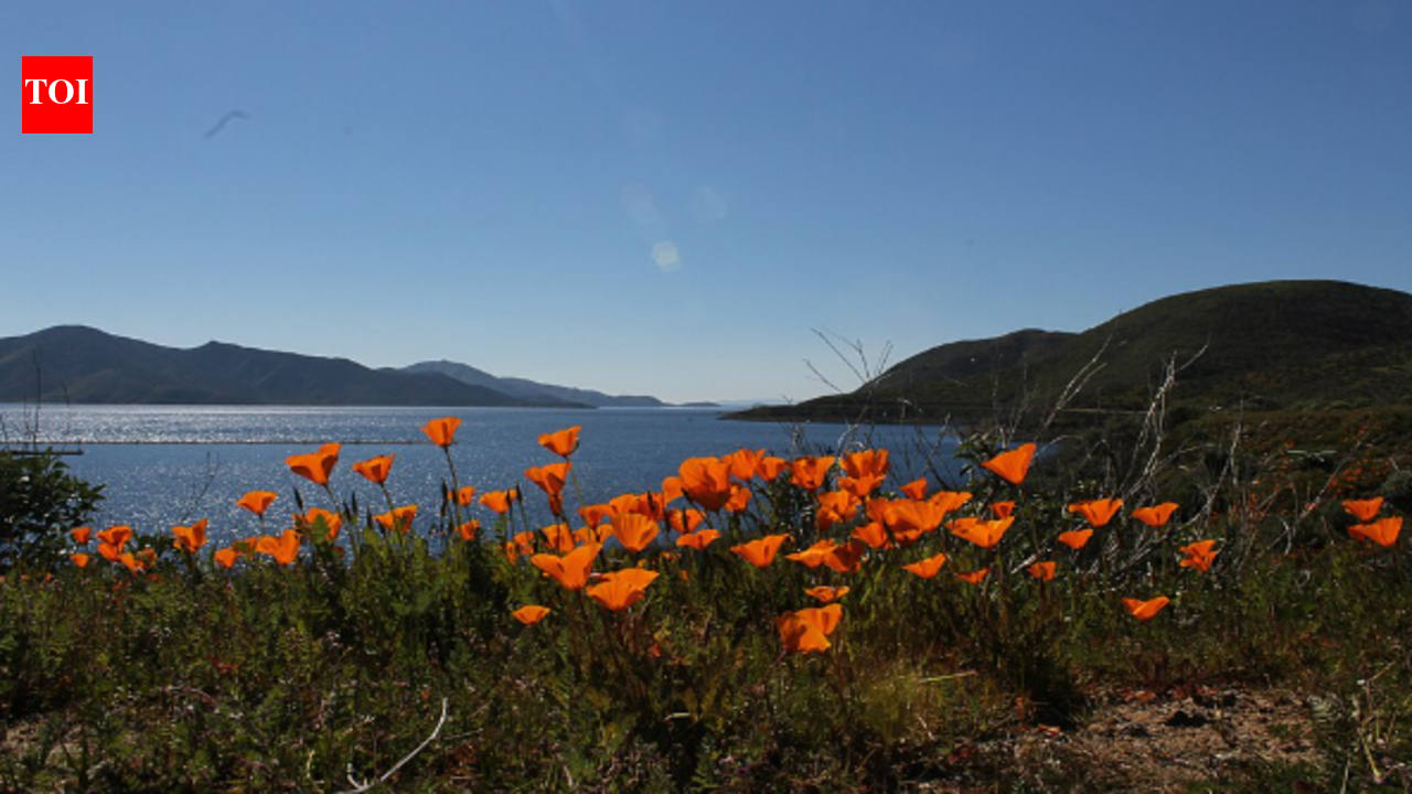 In 1995, Metropolitan Water District built Diamond Valley Lake to store water; 6 years later Southern California’s new reservoir held nearly 1 trillion liters