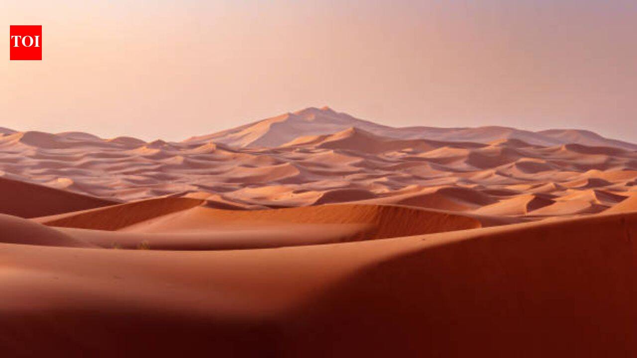 UAE is turning desert sand into eco-friendly bricks, the method cuts cement needed for construction to nearly half