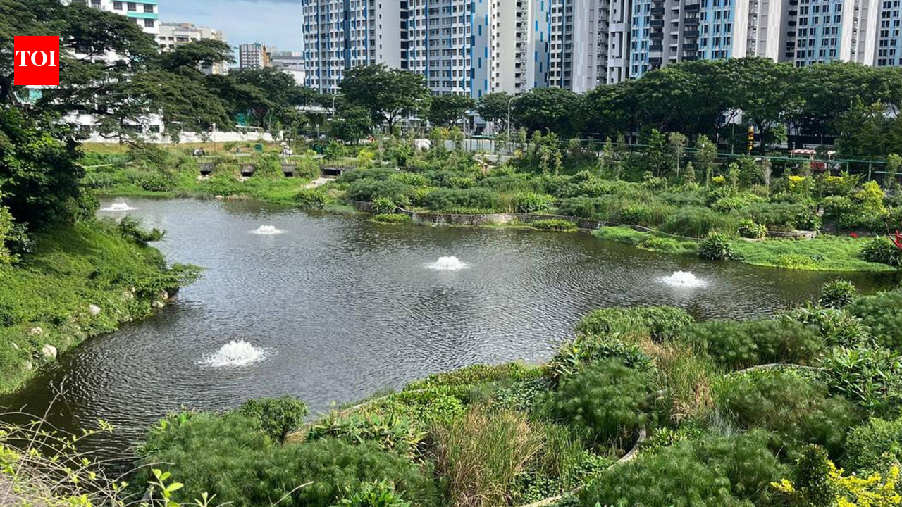 Singapore rebuilt a vanished 1920s lake as a flood-control and wildlife haven