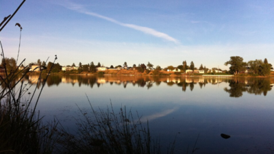 In 1977, Washington treated Medical Lake with 1,031 tons of liquid alum over five weeks; the treatment reduced algal blooms and improved water clarity