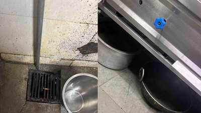 Flies, cockroaches in kitchens: FDA suspends licences of Radio Club, Khar Gymkhana and McDonald’s outlet in Mumbai