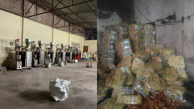 DGGI busts illegal pan masala, tobacco network in UP, detects Rs 185 crore tax evasion