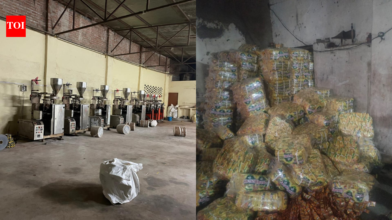 DGGI busts illegal pan masala, tobacco network in UP, detects Rs 185 crore tax evasion