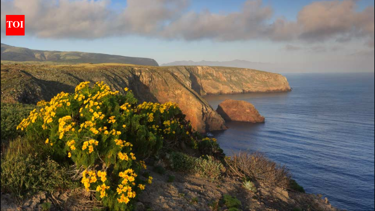 The US offered a California family $4 million for its 6,300-acre island ranch; after they refused...
