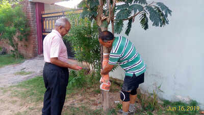 Tree-mendous mission: BAU prof gives Ranchi a green makeover